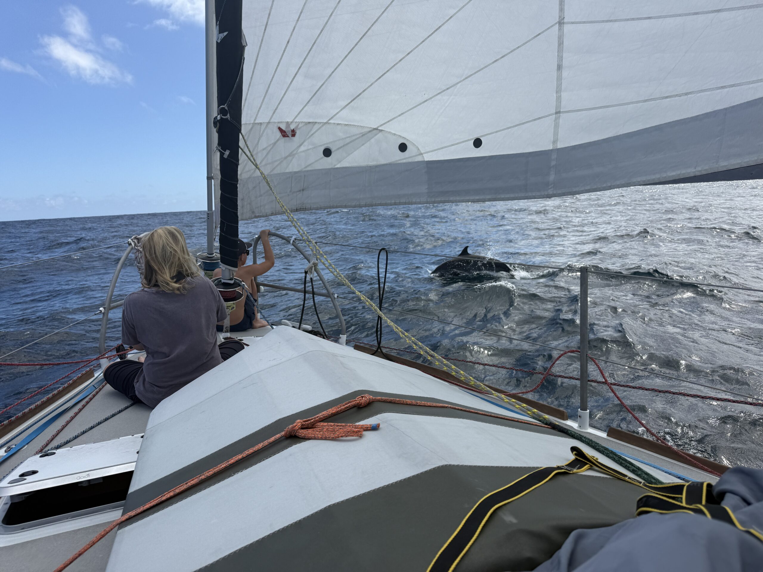 An unforgettable greeting